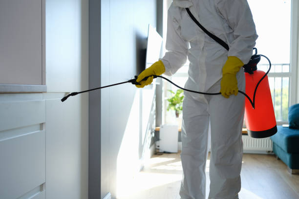 Best Crawl Space Mold Removal  in Rowlett, TX